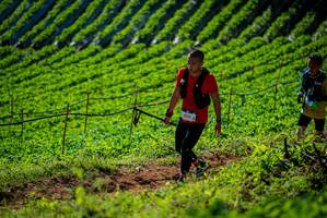 BIB: 
                            <button type="button" onclick="openModal(19161335)" class="btn btn-primary btn-sm float-right btn-popup" data-toggle="modal" data-target=".modal-high-quality">
                        <i class="fas fa-shopping-cart"></i> Add to Cart
                    </button>
                                            <button type="button" onclick="isThisMe(19161335, true)" class="btn btn-success btn-sm float-right btn-popup btn-isme hidden" data-toggle="tooltip" data-placement="bottom" title="นี่คือรูปของคุณใช่ไหม คลิกที่นี่เพื่อเอาเข้าอัลบั้ม">
                        <i class="fas fa-plus"></i> Add to album
                    </button>
                    <button type="button" onclick="isThisMe(19161335, false)" class="btn btn-warning btn-sm float-right btn-popup btn-isnotme hidden">
                        <i class="fas fa-ban"></i> Remove from album
                    </button>